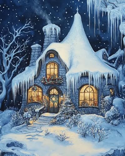 Weiniuniu Kreuzstich Stickpackung Schneehaus DIY Stickvorlagen Stickbilder 11CT Vorgedruckt Kreuzstich Set für Anfänger Home Decor 50x70 cm von Weiniuniu