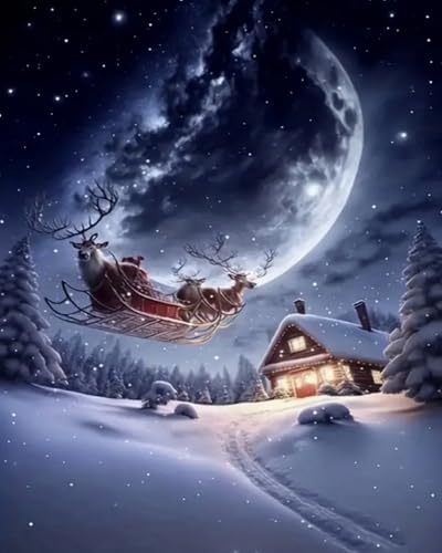 Weiniuniu Kreuzstich Stickpackung Weihnachts-Rentierschlitten-Iglu DIY Stickvorlagen Stickbilder 11CT Vorgedruckt Kreuzstich Set für Anfänger Home Decor 40x50 cm von Weiniuniu
