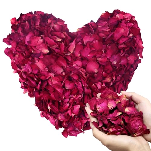 100g Blütenblätter Natürliche Getrocknete Rosenblätter Blütenkonfetti Hochzeit Getrocknete Rosenblätter umweltfreundlich und Abbaubar, für Fußbad Körperbad Spa Hochzeit Konfetti Heimduft DIY 100g Blütenblätter Natürliche Getrocknete Rosenblätter Blütenkonfetti Hochzeit Getrocknete Rosenblätter umweltfreundlich und Abbaubar, für Fußbad Körperbad Spa Hochzeit Konfetti Heimduft DIY von Wekuw