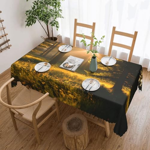 Elegante Tischdecke mit Morgensonnenlicht in der Wildnis, stilvolle Dekoration für Esstische, Hochzeiten und Veranstaltungen Elegante Tischdecke mit Morgensonnenlicht in der Wildnis, stilvolle Dekoration für Esstische, Hochzeiten und Veranstaltungen von WenDang