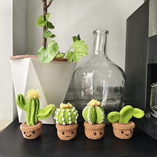 Weronique 4-teiliges Kaktus-Häkelset für Anfänger, DIY-Häkel-Strickmaterial-Set enthält alle benötigten Werkzeuge, bestes Geschenk für Freunde und jemanden, den Sie lieben (40 % + Garn) von Weronique