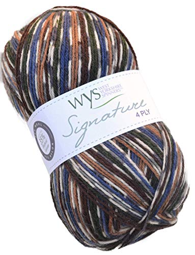 WYS Bluefaced Leicester Wolle Signature 4ply Sock Yarn 862-mallard, 100g Wolle, Sockenwolle musterbildend | Grundpreis [D] 6,95€/100g von West Yorkshire Spinners