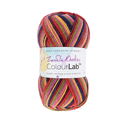 West Yorkshire Spinners Colourlab DK 1033 Zandra's Rainbow Wolle, 100 g von West Yorkshire Spinners