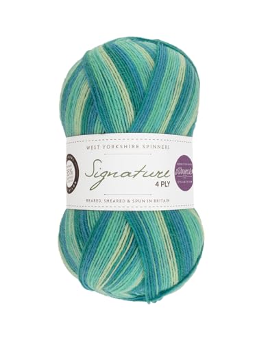 West Yorkshire Spinners Signature 4ply Winwick Mum Collection Seascape 873 100g Sock Garn von West Yorkshire Spinners