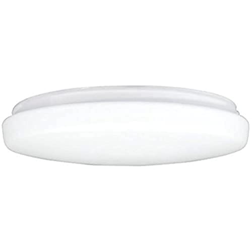 Westinghouse Lighting 8704040 Lampenschirm 19,7 cm aus satiniertem Glas, Trommelform, weiß, 22.2 x 22.2 x 5 cm Westinghouse Lighting 8704040 Lampenschirm 19,7 cm aus satiniertem Glas, Trommelform, weiß, 22.2 x 22.2 x 5 cm von Westinghouse