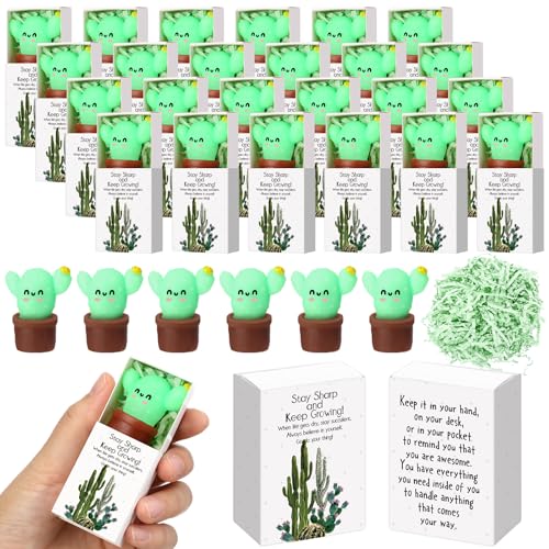 Wettarn 24 Sets Wertschätzungs-Kaktus-Geschenke, niedliche Stressbälle mit Unterstützung, Geschenkboxen, inspirierende Partygeschenke für Mitarbeiter, Kollegen, Freunde, Büro, positive Wettarn 24 Sets Wertschätzungs-Kaktus-Geschenke, niedliche Stressbälle mit Unterstützung, Geschenkboxen, inspirierende Partygeschenke für Mitarbeiter, Kollegen, Freunde, Büro, positive von Wettarn