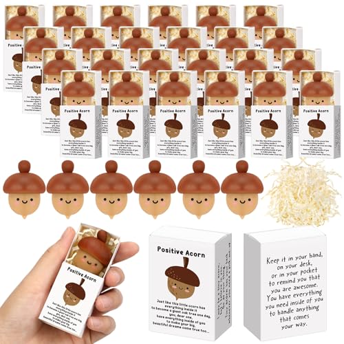 Wettarn 24 Sets positive -Geschenke, niedliche Stressbälle mit Unterstützung, Geschenkboxen, Erntedankfest, Partygeschenke für Mitarbeiter, Kollegen, Freunde, Büro, inspirierendes von Wettarn