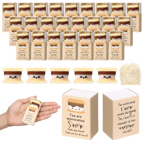 Wettarn S'More Stressbälle mit Dankeschön-Geschenkboxen für Mitarbeiter, Kollegen, Lehrer, Büro, Team, positive Schreibtischdekoration, Entlastungsspielzeug, 54 Sets Wettarn S'More Stressbälle mit Dankeschön-Geschenkboxen für Mitarbeiter, Kollegen, Lehrer, Büro, Team, positive Schreibtischdekoration, Entlastungsspielzeug, 54 Sets von Wettarn