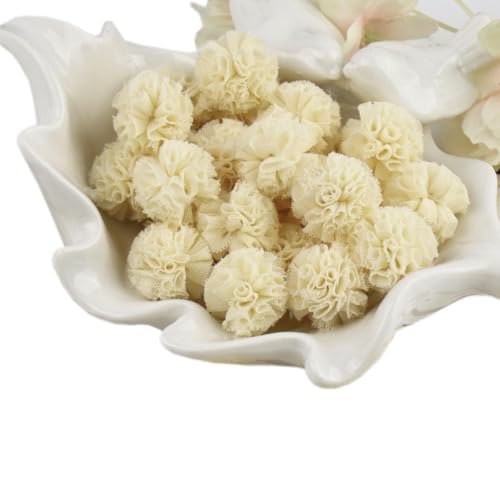 Whakano 40 Stück Flauschigen Bommeln Bälle Pompons zum Basteln,Bunt Pompons,Pom Poms für Handwerk Herstellung,Plüsch Bälle für Partydekor,Girlanden,Ostern,Kleidung,DIY Handwerk Dekor,Ca.1,5cm,Beige Whakano 40 Stück Flauschigen Bommeln Bälle Pompons zum Basteln,Bunt Pompons,Pom Poms für Handwerk Herstellung,Plüsch Bälle für Partydekor,Girlanden,Ostern,Kleidung,DIY Handwerk Dekor,Ca.1,5cm,Beige von Whakano