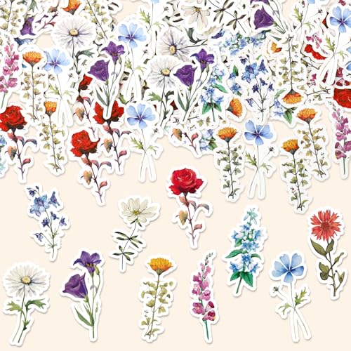 Whaline 300 Stück Wildblumen-Tischkonfetti, Frühlings- und Sommer-Blumen-Konfetti-Tischaufsätze für Geburtstag, Babyparty, Party-Dekoration Whaline 300 Stück Wildblumen-Tischkonfetti, Frühlings- und Sommer-Blumen-Konfetti-Tischaufsätze für Geburtstag, Babyparty, Party-Dekoration von Whaline