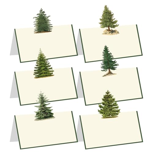 Whaline Tischkarten für Weihnachten, 11,9 x 8,1 cm, Grün, 60 Stück von Whaline