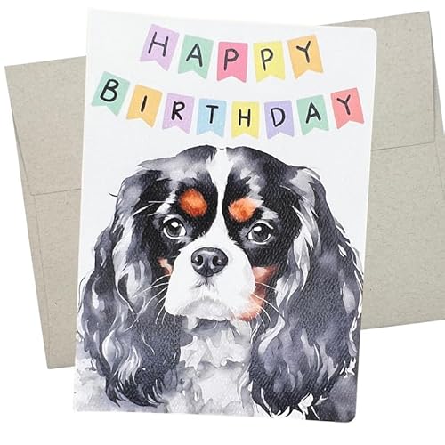 Cavalier King Charles Geburtstagskarte, Hunde-Geburtstagskarte (1 Premium-Klappkarte, innen blanko, 12,7 x 17,8 cm), Cavalier King Charles Spaniel Geburtstagskarte von Hund für Männer und Frauen – 469 von Whitman and Daughter
