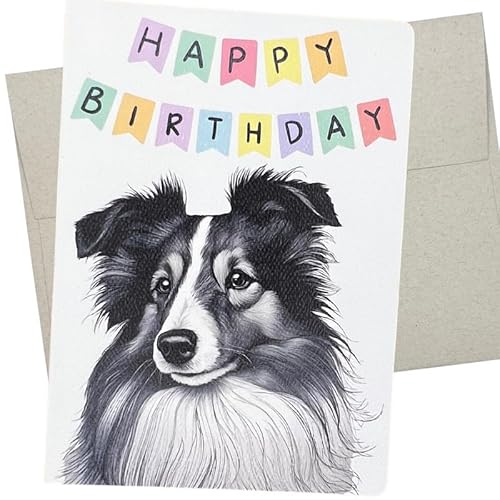 Sheltie Geburtstagskarte, Hunde-Geburtstagskarte (1 Premium-Klappkarte, innen blanko, 12,7 x 17,8 cm), Shetland Sheepdog Geburtstagskarte von Hund für Männer und Frauen – 479 von Whitman and Daughter