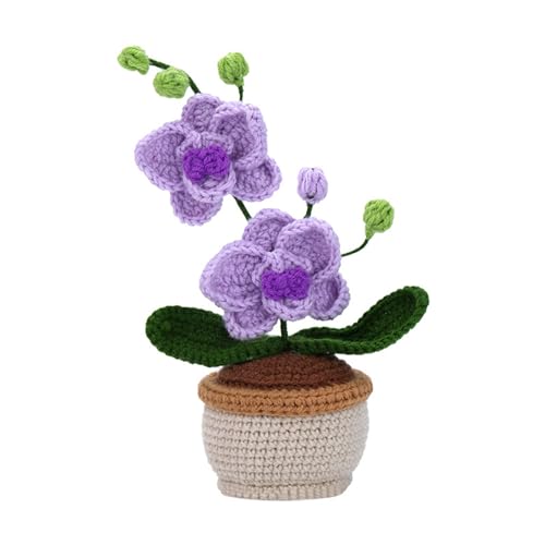 Whltzf Komplettes Häkelset für Topfpflanzen, Heimdekoration, Geburtstag, inklusive Häkelnadel, Garn, Nadel, Anleitung (evtl. nicht in deutscher Sprache), Häkelblumen-Kits, Häkelblumenstrauß von Whltzf