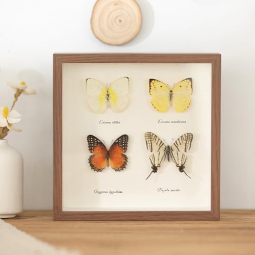 Whoiy Bilderrahmen 23x23 Kaffee MDF Holz Quadratisch Fotorahmen Geschenk für Hochzeit Jahrestag Freunde, Horizontal & Vertikal für Tischaufstellung von Whoiy
