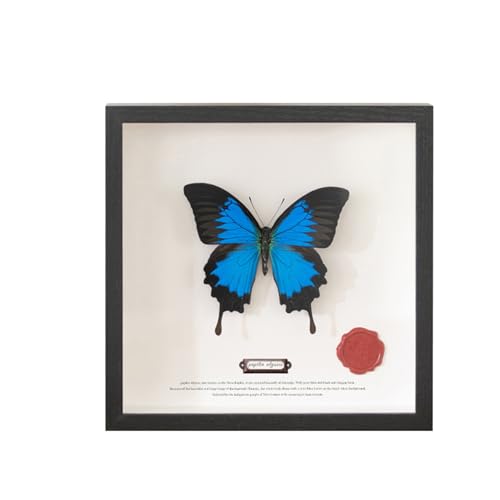 Whoiy Bilderrahmen 23x23 Schwarz, Fotorahmen MDF Holz Quadratisch Horizontal & Vertikal für Tischaufsteller, Hochzeit Weihnachten Geburtstag Geschenk Whoiy Bilderrahmen 23x23 Schwarz, Fotorahmen MDF Holz Quadratisch Horizontal & Vertikal für Tischaufsteller, Hochzeit Weihnachten Geburtstag Geschenk von Whoiy