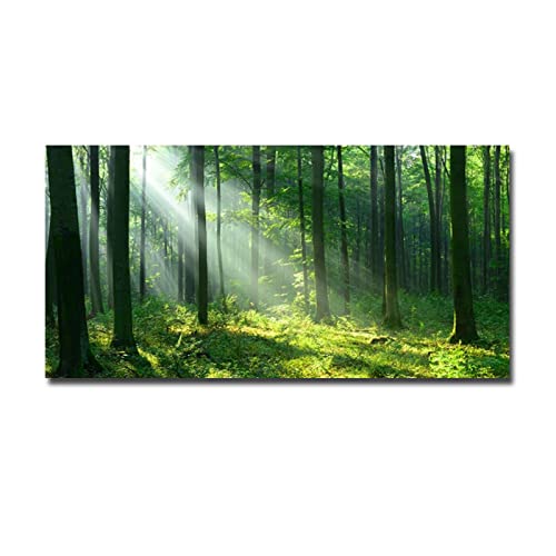 Diamond Painting Wald Sonnenschein, DIY 5D Diamant Painting Bilder Malen nach Zahlen Erwachsene Anfänger, Diamond Painting Zubehör Voll Set, Groß Diamant Malerei , Home Décor Gemälde , 70x140cm von Whoonng