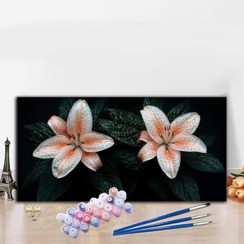 Malen Nach Zahlen Anlage, Malen Nach Zahlen Erwachsene Orchidee Paint by Numbers Handgemalt Ölgemälde Kit für Anfänger mit Pinseln und Acrylfarben, Deko Wohnzimmer, Geschenke für Frauen 40x70CM G8-561 von Whoonng
