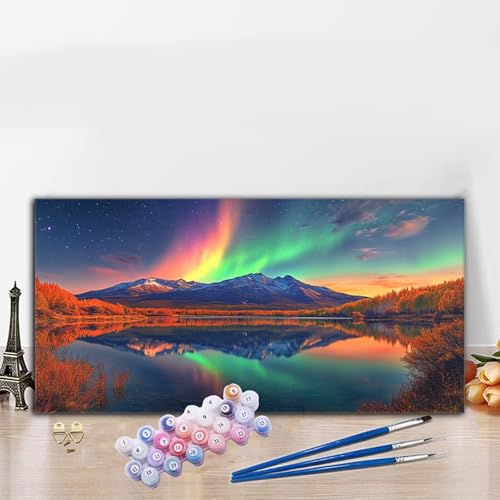 Malen Nach Zahlen Aurora, Malen Nach Zahlen Erwachsene Berg Paint by Numbers Handgemalt Ölgemälde Kit für Anfänger mit Pinseln und Acrylfarben,Halloween Deko Wohnzimmer,Frauen Geschenke 40x70cm G8-787 von Whoonng