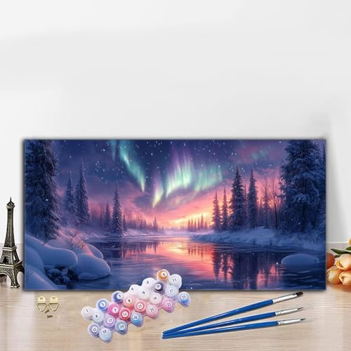 Malen Nach Zahlen Aurora, Malen Nach Zahlen Erwachsene Sternenhimmel Paint by Numbers Handgemalt Ölgemälde Kit für Anfänger mit Pinseln und Acrylfarben, Halloween Wand Deko Wohnzimmer 40x70CM G8-957 von Whoonng
