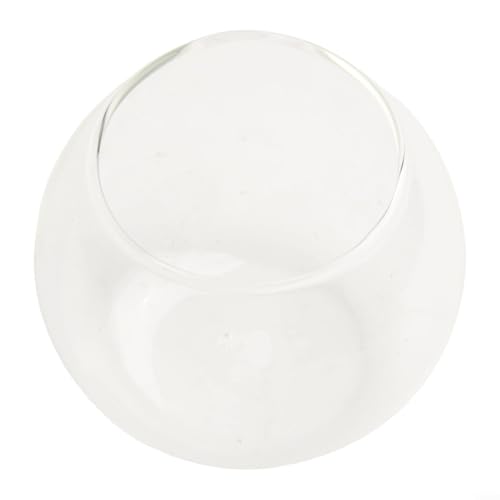 Zylindrische Klarglasvase als Terrarienbehälter oder dekoratives Akzentstück (A) von Whychstore