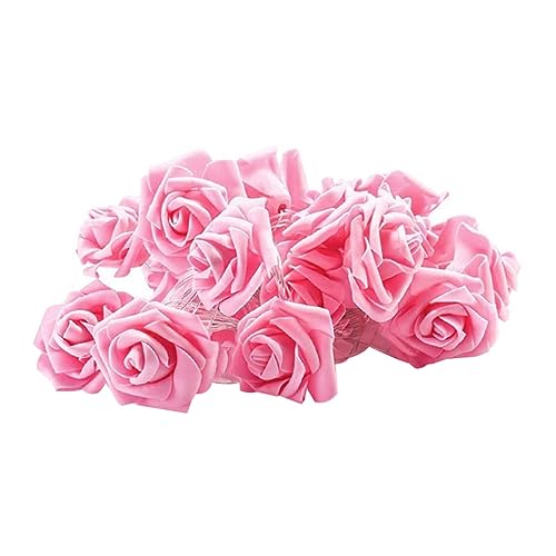 Whyzsjnclg Rose Blumenfee Lichter, Rose Blumenschnur Lichter Valentinstag 20 LEDs Romantisches Feenlicht (keine Batterie) für die Heimküche von Whyzsjnclg