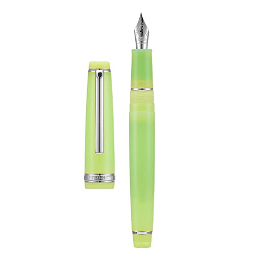 Jinhao 82 Acryl-Füllfederhalter, Iridium-Feinfeder mit Tintenkonverter, transparentes grünes klassisches Design, glattes Schreiben Stift (silberfarbener Rand) von Wikult