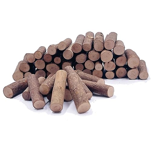 Bastelstäbchen, Holzstäbchen, Bastelzweige, Handwerk, Holzspielzeug, DIY-Vasenfüller, Kürbisstiele, rustikale Dekorationen, Ornamente, lose Teile, Spielmaterialien 50 Stück Bastelstäbchen, Holzstäbchen, Bastelzweige, Handwerk, Holzspielzeug, DIY-Vasenfüller, Kürbisstiele, rustikale Dekorationen, Ornamente, lose Teile, Spielmaterialien 50 Stück von William Craft