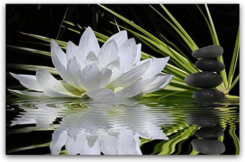 Wingkin Erwachsene Kreuzstich Stickpackungen Kit Zen-Lotus 11CT Stickbild Stickvorlagen Vorgedruckt Kreuzstich Set DIY Kunst für Anfänger Kinder Geschenk (40x50cm) von Wingkin