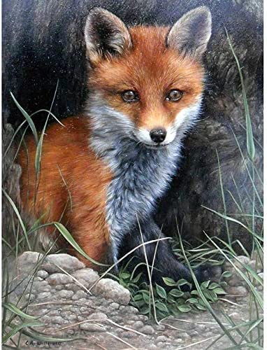 Wingkin Kreuzstich Stickpackungen Baby Fuchs 11CT Erwachsene Sticken Set,DIY Stickbilder Vorgedruckt Kreuzstich für Anfänger Home Decor （40x50cm ） von Homry