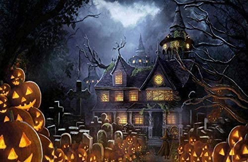 Wingkin Kreuzstich Stickpackungen Halloween-Kürbis 11CT Erwachsene Sticken Set,DIY Stickbilder Vorgedruckt Kreuzstich für Anfänger Home Decor （40x50cm ） von Wingkin