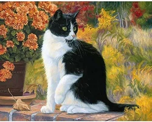 Wingkin Kreuzstich Stickpackungen Katze 11CT Erwachsene Sticken Set,DIY Stickbilder Vorgedruckt Kreuzstich für Anfänger Home Decor （40x50cm ） von Homry