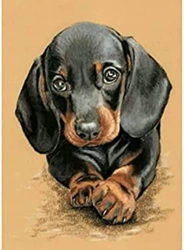 Wingkin Kreuzstich Stickpackungen Kleiner Dackel-Hund 11CT Erwachsene Sticken Set,DIY Stickbilder Vorgedruckt Kreuzstich für Anfänger Home Decor （40x50cm ） von Wingkin