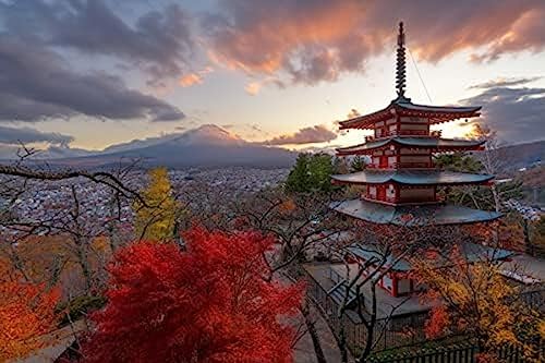Wingkin Kreuzstich Stickpackungen Mount Fuji Chureito Pagode Japan 11CT Erwachsene Sticken Set,DIY Stickbilder Vorgedruckt Kreuzstich für Anfänger Home Decor （40x50cm ） von Wingkin