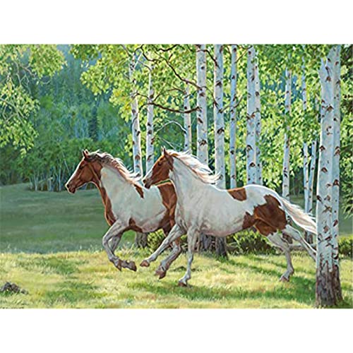 Wingkin Kreuzstich Stickpackungen Tier zwei Pferde 11CT Erwachsene Sticken Set,DIY Stickbilder Vorgedruckt Kreuzstich für Anfänger Home Decor （40x50cm ） von Wingkin