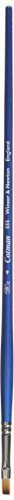 Cotman Aquarell Synthetikhaar Pinsel Cotman Aquarell Synthetikhaar Pinsel von Winsor & Newton