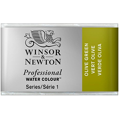 Winsor & Newton 0100447 Professional Aquarellfarbe, lebendige Wasserfarben in Künstlerqualität, hohe Farbbrillanz & Leuchtkraft, lichtecht, Archivqualität, ganzer Napf - Olivgrün von Winsor & Newton