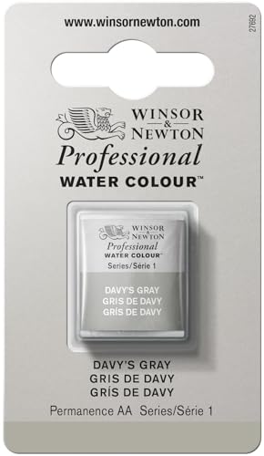 Winsor & Newton 0101217 Professional Aquarellfarbe, lebendige Wasserfarben in Künstlerqualität, hohe Farbbrillanz & Leuchtkraft, lichtecht, Archivqualität, 1/2 Napf - Davy's Grau von Winsor & Newton
