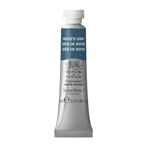 Winsor & Newton 0102465 Professional Aquarellfarbe, lebendige Wasserfarben in Künstlerqualität, hohe Farbbrillanz & Leuchtkraft, lichtecht, Archivqualität, 5ml Tube - Payne's Grau von Winsor & Newton