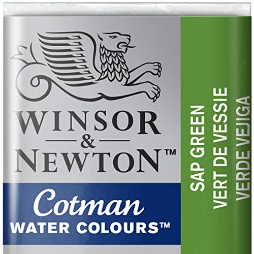 Winsor & Newton 0301599 Cotman Aquarellfarbe mit guter Transparenz, hervorragender Tönungsstärke und guten Maleigenschaften, Wasserfarbe im 1/2 Napf - Saftgrün von Winsor & Newton