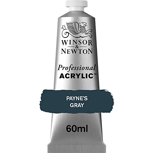 Winsor & Newton 2320465 Professional Acrylfarbe in Künstlerqualität, hohe Farbbrillanz & Deckkraft, Archivqualität, 60ml Tube - Payne's Grau Winsor & Newton 2320465 Professional Acrylfarbe in Künstlerqualität, hohe Farbbrillanz & Deckkraft, Archivqualität, 60ml Tube - Payne's Grau von Winsor & Newton