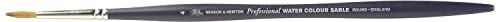 Winsor & Newton 5067004 Professional Sable Aquarell Pinsel aus Kolinski Marderhaar für ausgezeichnete Farbtragekapazität, Sprungkraft, Punktgenauigkeit - Rund Nr. 4 - 2,6 mm - kurzer Stiel Winsor & Newton 5067004 Professional Sable Aquarell Pinsel aus Kolinski Marderhaar für ausgezeichnete Farbtragekapazität, Sprungkraft, Punktgenauigkeit - Rund Nr. 4 - 2,6 mm - kurzer Stiel von Winsor & Newton