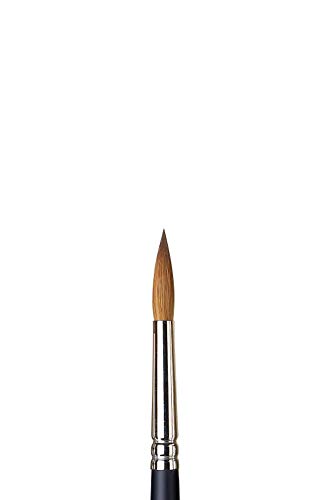 Winsor & Newton 5067008 Professional Sable Aquarell Pinsel aus Kolinski Marderhaar für ausgezeichnete Farbtragekapazität, Sprungkraft, Punktgenauigkeit - Rund Nr. 8 - 4,9 mm - kurzer Stiel von Winsor & Newton