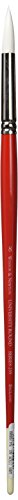 Winsor & Newton 5419008 - University Künstler Rundpinsel Nr.8 - für Ölfarbe, Acrylfarbe und Aquarellfarbe Winsor & Newton 5419008 - University Künstler Rundpinsel Nr.8 - für Ölfarbe, Acrylfarbe und Aquarellfarbe von Winsor & Newton