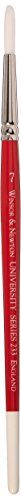 Winsor & Newton 5423007 - University Künstler Rundpinsel Nr.7 - für Ölfarbe, Acrylfarbe und Aquarellfarbe, Weiß Winsor & Newton 5423007 - University Künstler Rundpinsel Nr.7 - für Ölfarbe, Acrylfarbe und Aquarellfarbe, Weiß von Winsor & Newton