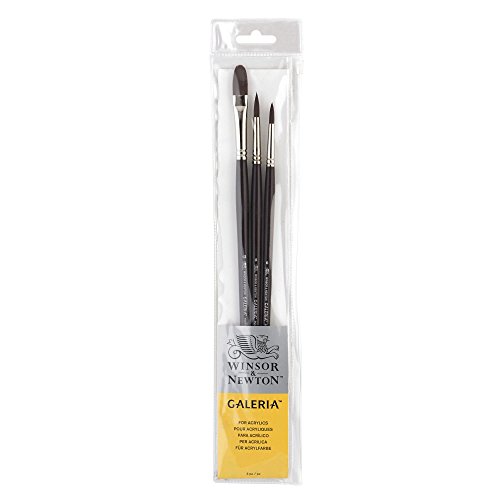 Winsor & Newton 5790604 Galeria Acrylpinsel Set, aus Synthetikfasern, ideale Kontrolle für dickere Farbaufträge, Set 3 Pinsel kurzer Stiel Rundpinsel Nr. 6 und 8, Filbertpinsel Nr. 12 von Winsor & Newton