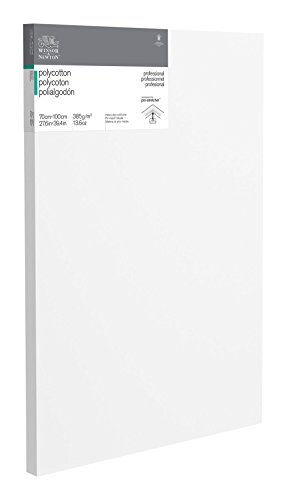 Winsor & Newton 6206065 Professional Keilrahmen Deep Edge aus Baumwollmischgewebe, 385 g/m², 3-fach grundiert, mittlere Körnung, ideal für die Ölfarben und Acrylfarben - 70x100cm Winsor & Newton 6206065 Professional Keilrahmen Deep Edge aus Baumwollmischgewebe, 385 g/m², 3-fach grundiert, mittlere Körnung, ideal für die Ölfarben und Acrylfarben - 70x100cm von Winsor & Newton