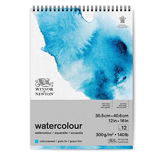 Winsor & Newton 6662584 Classic Aquarellpapier in Spiralbindung - 12 Blatt 30,5 x 40,6cm, 300g/m², kaltgepresstes, leicht texturiertes weißes Papier in archivierbarer Qualität, gilbbeständig von Winsor & Newton