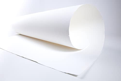 Winsor & Newton 6663283 Papier, Baumwolle, Weiß, 56x76 cm von Winsor & Newton