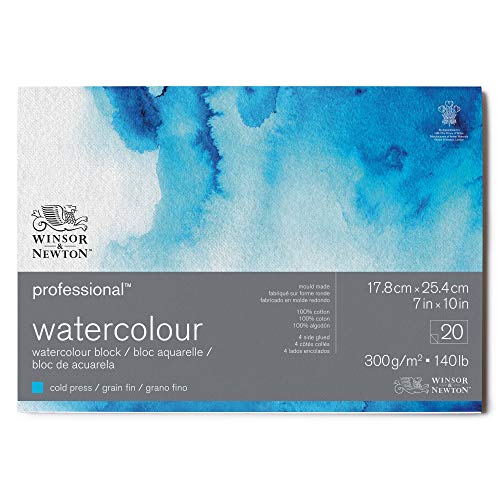 Winsor & Newton 6664001 Professional Aquarellpapier im Block - 20 Blatt 17,8 x 25,4cm, 300g/m², Feinkorn, helles natürliches weißes Papier in archivierbarer Qualität, gilbbeständig von Winsor & Newton